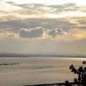 Meet your Posher, Nova